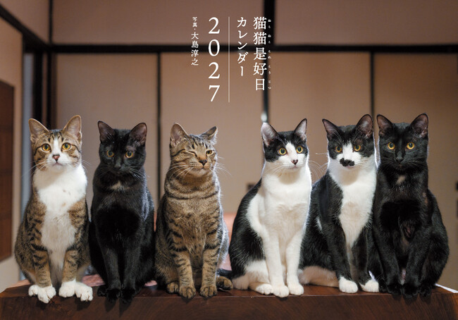 小さな古民家を舞台に、８匹の大家族が繰り広げるドタバタ劇『2027カレンダー 猫猫是好日（ねこねこ これこうじつ）』が9月3日発売