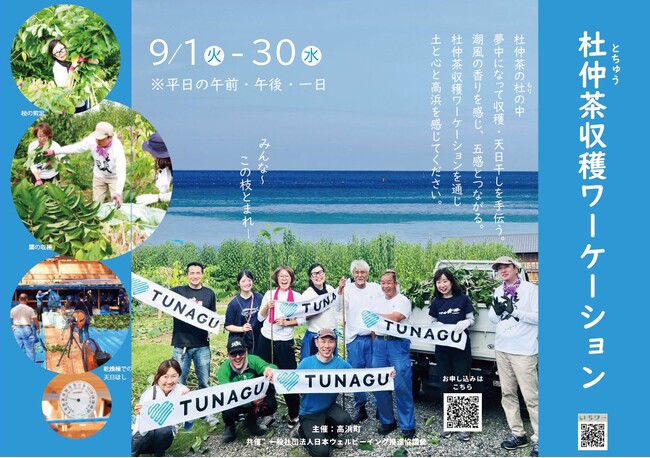 日本有数の杜仲茶の産地・福井県高浜町で一次産業ワーケーション(R)始動：「杜仲茶収穫ワーケーション」を9月1日～30日に開催