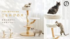 天然木の表情を楽しむ
”愛猫専用の世界に1つだけのキャットタワー”
使いやすさとインテリア性を両立
「こもれびの木」9月2日新発売