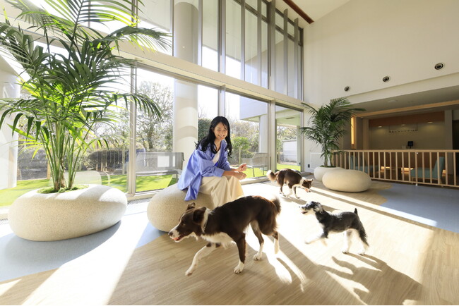 愛犬と一緒に“みかん狩り”へ　熱海で旬を味わう季節限定宿泊プラン登場｜2026年10月16日より