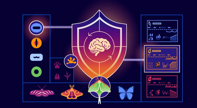 Cloudflare、「Adaptive Intelligence」を発表