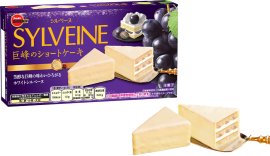 シルベーヌ巨峰のショートケーキ シルベーヌ巨峰のショートケーキ