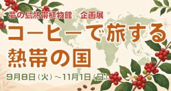 【キーコーヒー×夢の島熱帯植物館】コーヒーの育成や文化について紹介
企画展「コーヒーで旅する熱帯の国」を9月8日（火）～11月1日（日）の期間で開催