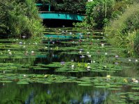 シルバーウィークは高知・北川村「モネの庭」マルモッタンへ　初の特別企画「リコリスリコリス」を9月23日(水)まで開催
