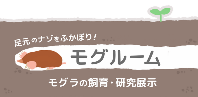 西日本で唯一！謎に包まれたモグラの観察ができる新展示施設「モグルーム」を9月3日から公開【のんほいパーク】