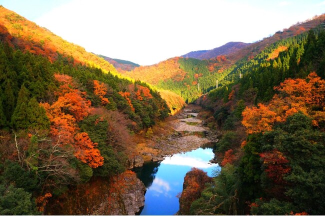 五感にふれる、秋のとやま巡り旅。「立山黒部の新しい楽しみ方」から「秋の味覚」まで最新情報をお届け!