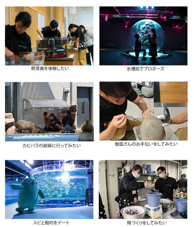 【5周年記念企画】水族館で叶えたい夢を大募集!