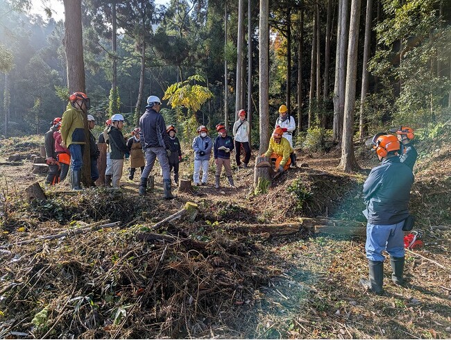チェーンソーでの木こり体験から親子で学ぶ子ども樹木博士まで！～丹波篠山市が取り組む、里山とつながる実践プログラム～