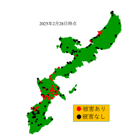 【（一財）沖縄美ら島財団】ソテツシロカイガラムシの被害実態と被害拡大要因の研究成果を発表！