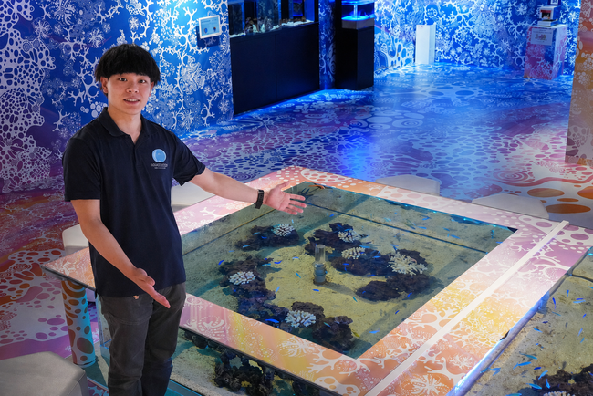 座間味村の海を再現!!~期間限定の水槽展示~【広島もとまち水族館】
