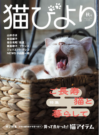 【人間でいえば96歳以上!】20歳超の猫たちを特集した『猫びより』秋号は9月11日(金)に発売