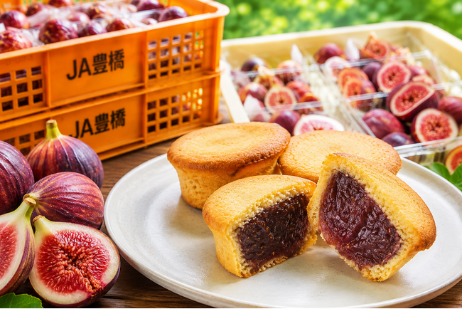 「味はおいしいのに、規格外になる。」豊橋の老舗和菓子屋が“豊橋産”規格外いちじく約1.5トンを買い取りへ