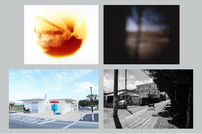 「写真の町」東川賞の新人作家賞を受賞した鈴木のぞみ・上原沙也加の二人展を「Gallery & Bakery Tokyo ８分」で10月3日(土)から開催