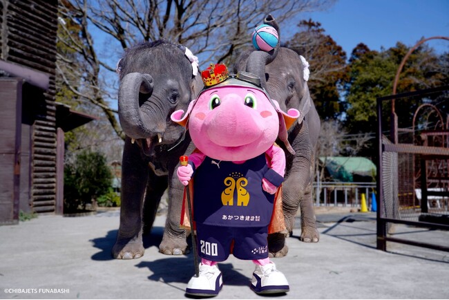 【千葉ジェッツ】親和性と地域活性化を軸にジャンボくんが130名超のファンと「市原ぞうの国」バスツアーを実施！！