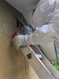 広島・岡山・香川・愛媛へ年間1,500頭のイノシシと向き合う 「備後 ジビエ製作所」が害虫獣対策事業へ 「備後ゴキブリ駆除センター」を 新展開