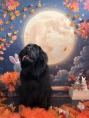 フォトブースでの写真3 フォトブースでの写真3
