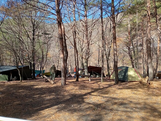 秋本番！キャンプ＆焚き火のベストシーズン到来！富士山の麓・樹海の森のキャンプ場「キャンプあかいけ」で、ソロキャンパーだけの特別な週末「ソログルキャン2026」10月16日（金）～18日（日）開催