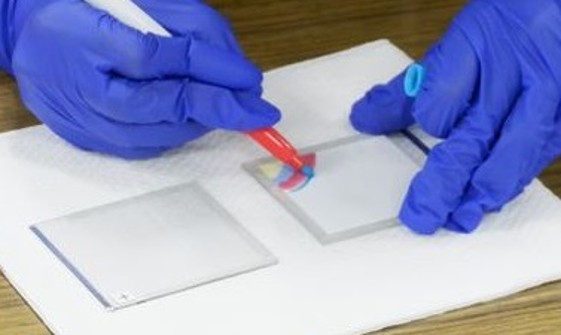 ペクセル・テクノロジーズ株式会社が、NSK開発の「色素増感太陽電池の学習教材」の試験販売を開始