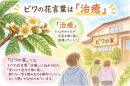 自立援助ホームビワの家の成り立ち 自立援助ホームビワの家の成り立ち