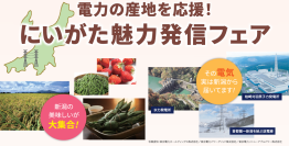 首都圏の電力を支える新潟県 東京で魅力発信フェアを開催