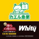 オリジナルステッカー/カエル急便 オリジナルステッカー/カエル急便