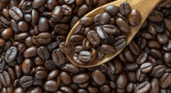 世界的なコーヒー品評会やオークションでも注目の的！ハチミツのような濃厚な甘さが特徴のスペシャルティコーヒー「チロソ」の魅力に迫るコラムが8月20日に公開