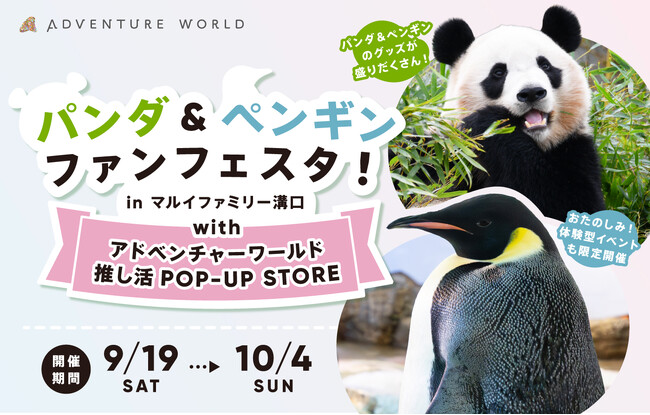 パンダ＆ペンギンの「推し活」を楽しむPOP-UP STOREイベント「パンダ＆ペンギンファンフェスタ！in マルイファミリー溝口 with アドベンチャーワールド推し活POP-UP STORE」開催！