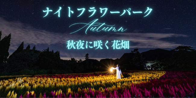 【大分・久住高原】標高850m、秋の夜空と満天の星が彩る「ナイトフラワーパークAutumn ～秋夜に咲く花畑～」を10月限定5日間で開催！
