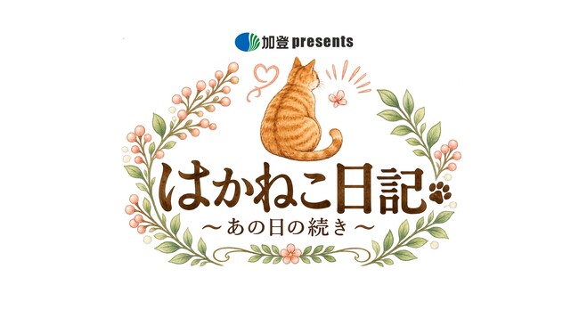 お墓参りをテーマにした異色のドラマが放送！ともさかりえがお墓に住むネコの声を担当！『加登 presents はかねこ日記 ～あの日の続き～』9月15日（火）よりテレビ大阪で放送スタート！