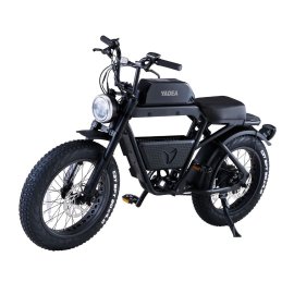 電動アシスト自転車『TRP-01』 電動アシスト自転車『TRP-01』
