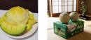 新商品をSNSで発信。5月下旬から7月上旬頃は、期間限定でメロン「イバラキング」を店頭販売。 新商品をSNSで発信。5月下旬から7月上旬頃は、期間限定でメロン「イバラキング」を店頭販売。
