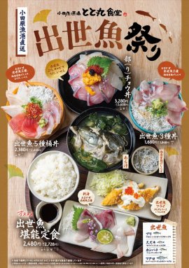 出世魚祭り 出世魚祭り
