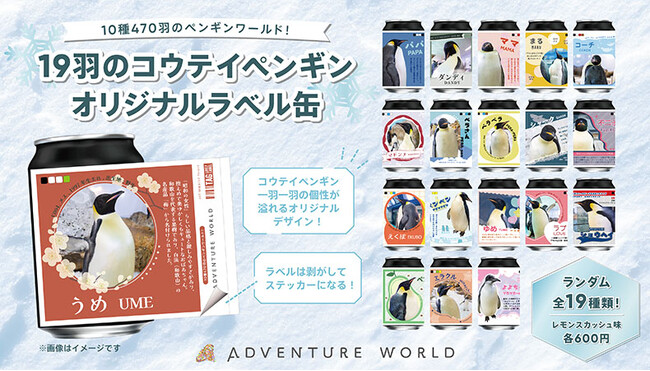 １９羽のコウテイペンギン、一羽一羽の“名前”と“個性”がオリジナルラベルに！アドベンチャーワールド×サントリー「TAG-LIVE！LABEL」オリジナルラベル缶 全１９種が９月１７日（木）より登場！