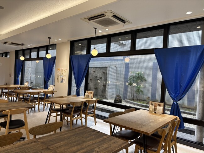 【9月23日は手話の日】ココトモカフェフロイデ店で手話イベントを開催　店内を青く飾り「手話言語に光を！」を犬山市から発信します