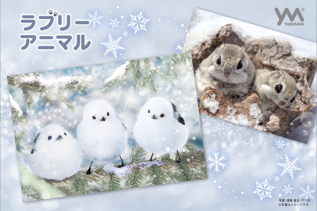 【つぶらな瞳に心ときめく】新シリーズ「ラブリーアニマル」誕生！シマエナガやエゾモモンガなど愛らしい動物ジグソーパズル4種、発売中！