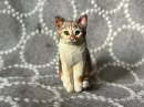 作品イメージ「おすわりポーズのネコ」 作品イメージ「おすわりポーズのネコ」
