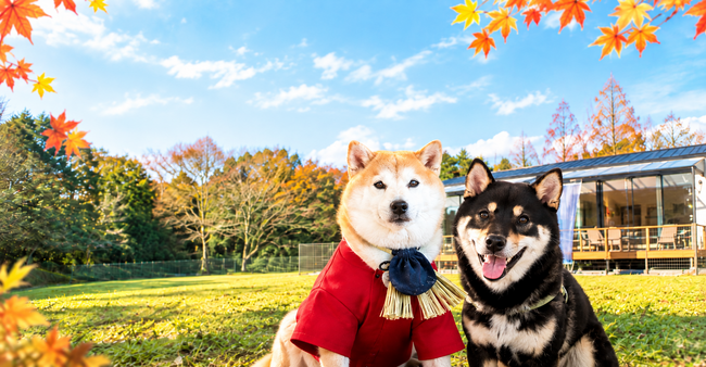 「愛犬と、秋風そよぐ伊勢でリトリート旅」和モダンなグランピング施設【ラグジュアリートレーラーズ離宮伊勢】にて