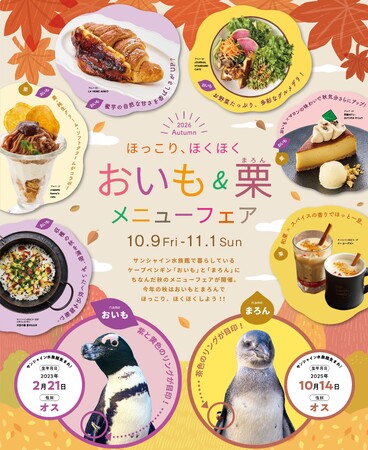 サンシャイン水族館のペンギン「おいも」と「まろん」にちなんだ秋の味覚メニューフェアを開催！「ほっこり、ほくほく　おいも＆栗　メニューフェア」*10月9日（金）～11月1日（日）*