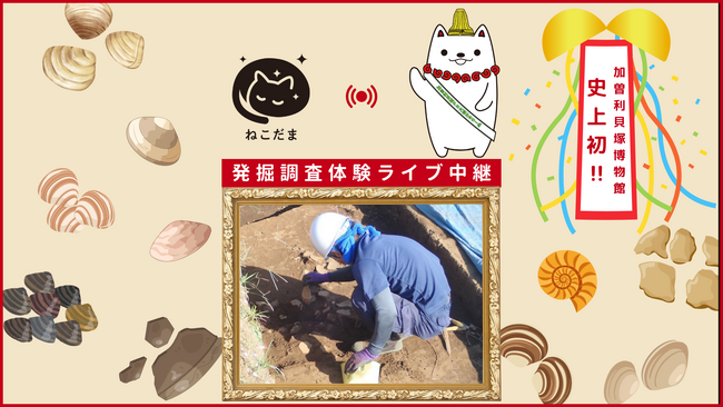 「ねこだま」で”加曽利貝塚発掘調査体験”のライブ観覧を開催！ 旦（あけがた）と千葉市立加曽利貝塚博物館が連携し、同館初となるオンラインのリアルタイム配信を、2026年10月10日（土）実施