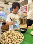 旬!生落花生 お箸チャレンジ 旬!生落花生 お箸チャレンジ