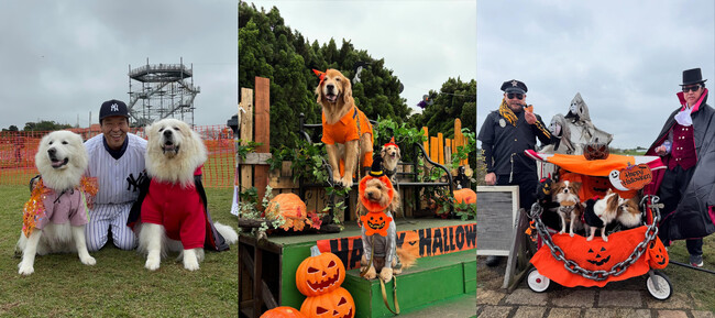 【横須賀最大級】愛犬と一緒にハロウィン仮装パレード！秋のコスモス畑やアトラクション同乗を満喫できる特別ドッグイベント、ソレイユの丘で10月24日(土)・25日(日)に開催