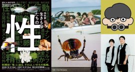 特別展「生きものたちの性」ニュース画像 特別展「生きものたちの性」ニュース画像