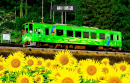 錦川鉄道 錦川鉄道