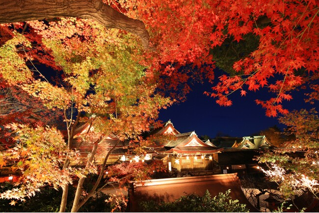 通常非公開の風月殿で芸舞妓鑑賞・呈茶を体験 ～北野天満宮「夜の特別参拝」をダイナースクラブ会員限定で開催～