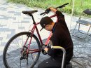 修理の様子