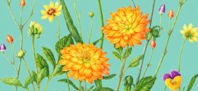 【東京農業大学】「食と農」の博物館で企画展「とくめく花とみどり」開催（10月22日～）