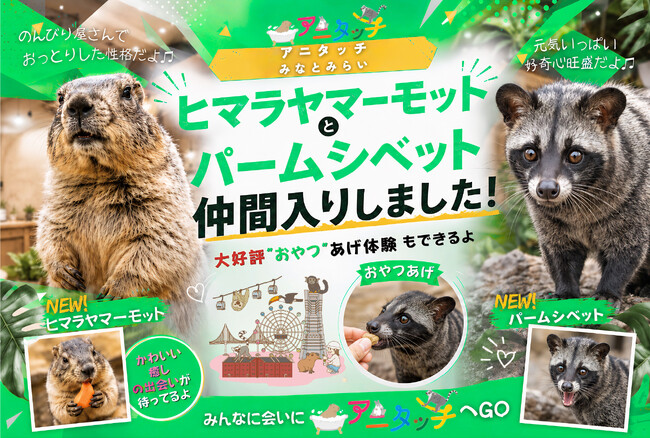 《伊豆シャボテンリゾート株式会社50周年記念事業》 2026年10月下旬、屋内型ふれあい動物園 アニタッチ みなとみらいがショップエリアをリニューアル！ ヒマラヤマーモットとパームシベットが仲間入り