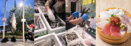 「出世魚」だらけの「出世魚祭り」開催 「出世魚」だらけの「出世魚祭り」開催