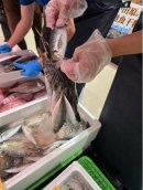 鮮魚の詰め放題 鮮魚の詰め放題