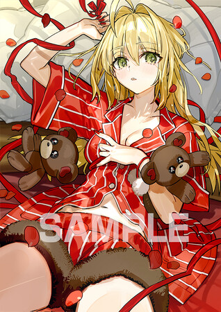 ゲーム『Fate/EXTRA Record』が、2027年1月28日発売！　アニメイト限定のアイテムに使用するセイバーの描きおろしイラストを公開
